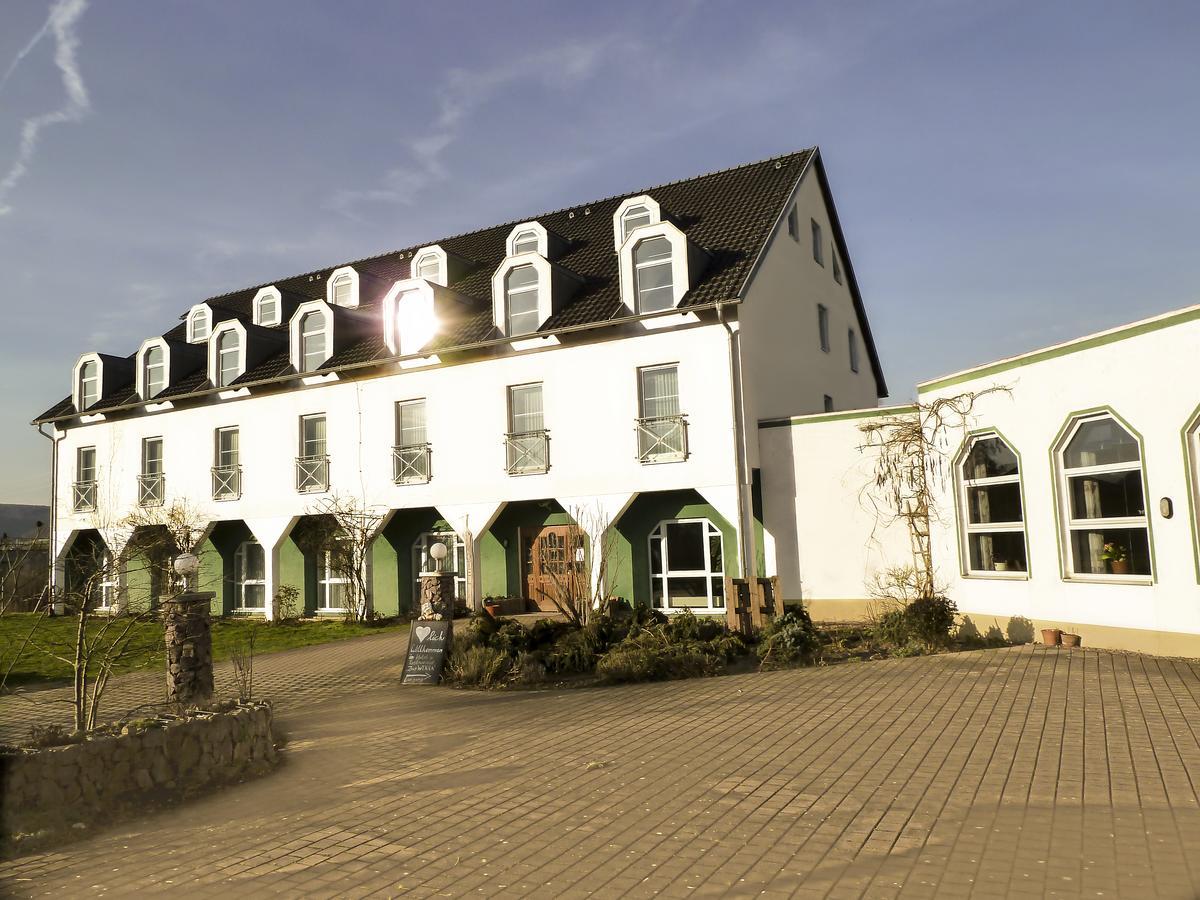 Hotel Zur Werra Smalcalda Esterno foto